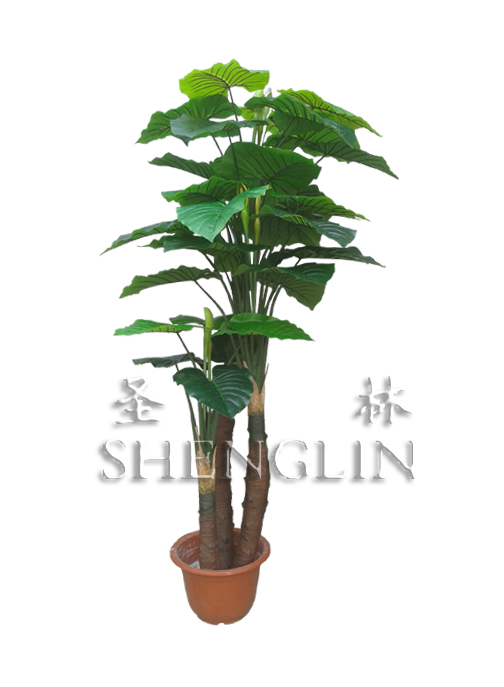 仿真植物的摆放